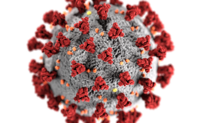 Coronavirus Notice from Feingold Law & Associates